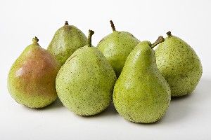 Pyrus communis Potomac - Potomac Pear