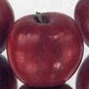 Jonathan- Red Jonathan Apple