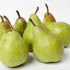 Shenandoah Pear