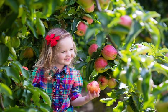 Grandpa is picky about the quality of the bareroot trees he offers. Only the largest and best will do! Grandpa is picky about the quality of the bareroot trees he offers. Only the largest and best will do!